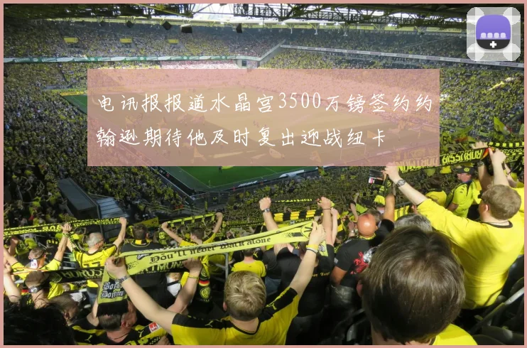 电讯报报道水晶宫3500万镑签约约翰逊期待他及时复出迎战纽卡