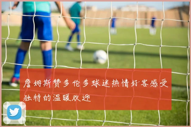 詹姆斯赞多伦多球迷热情好客感受独特的温暖欢迎