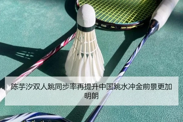 陈芋汐双人跳同步率再提升中国跳水冲金前景更加明朗